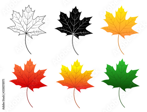 Set of maple leaves orange, red, yellow, green, black and white, leaf outline. Cartoon vector isolated icon on white background