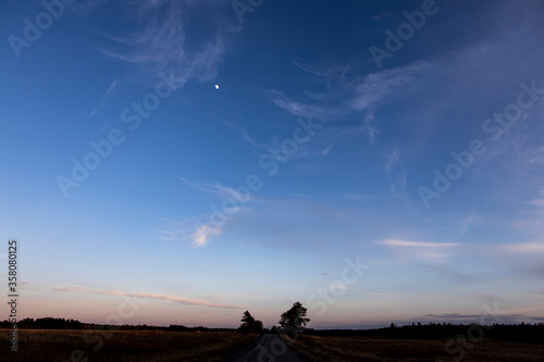 Fototapeta Naklejka Na Ścianę i Meble -  Beautiful cloudy sky over the sown field. Sunset view