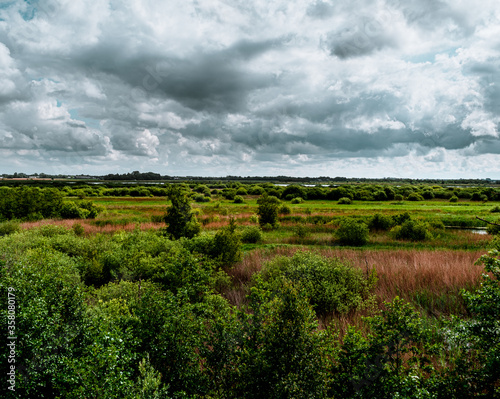dutch landscape © Tom