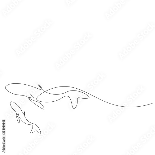 Fototapeta Naklejka Na Ścianę i Meble -  Whale on sea line drawing, vector illustration