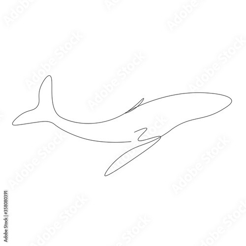 Whale silhouette one line drawing, vector illustration