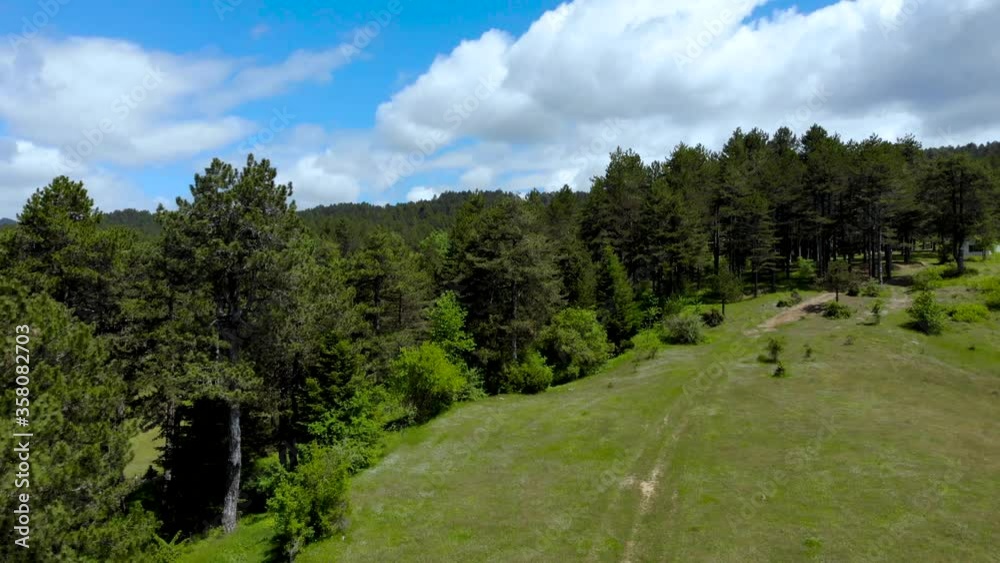 Pine trees forest and green grassy meadow on beautiful tranquil mountains with cloudy sky background