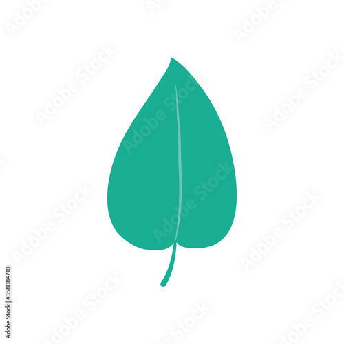 poplar leaf icon, flat style