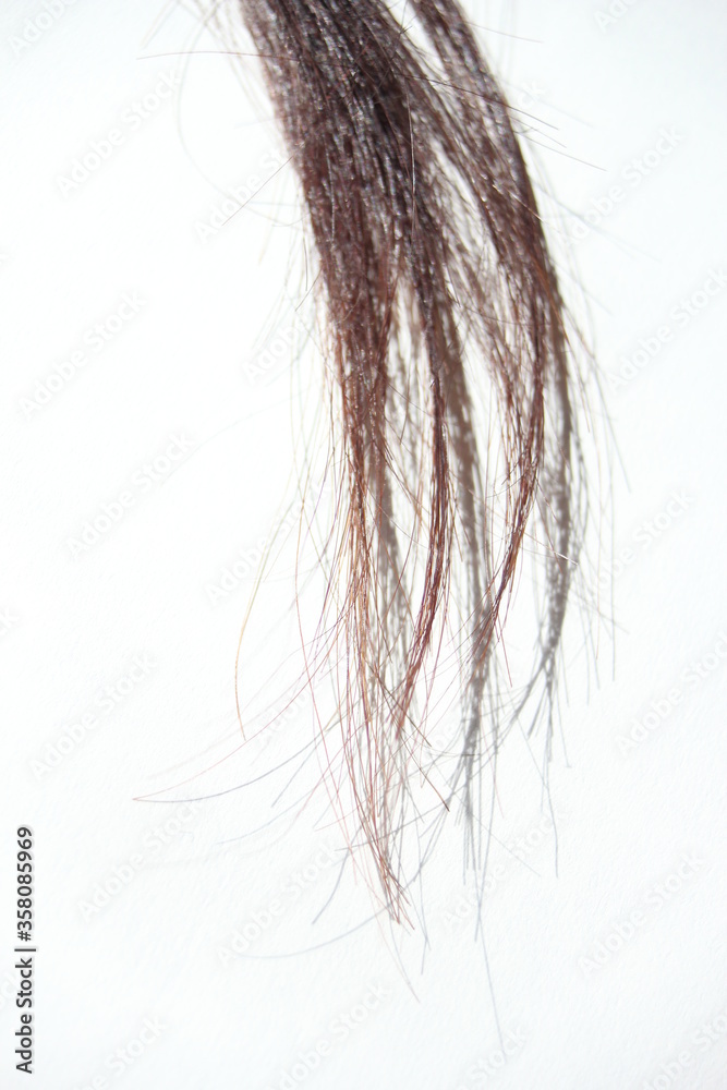 hair tuft on white background with copy space 