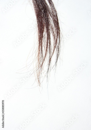 Canvas Print hair tuft on white background with copy space
