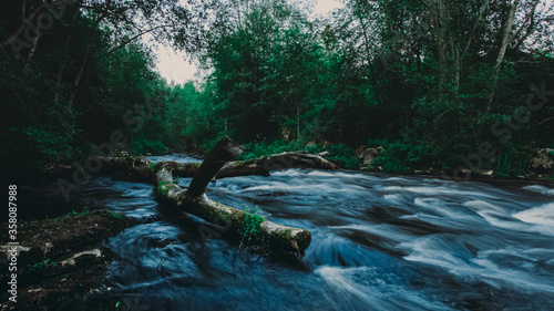 Fototapeta Naklejka Na Ścianę i Meble -  Great photo of a river with running water through a fallen broken tree over stream in the summer forest