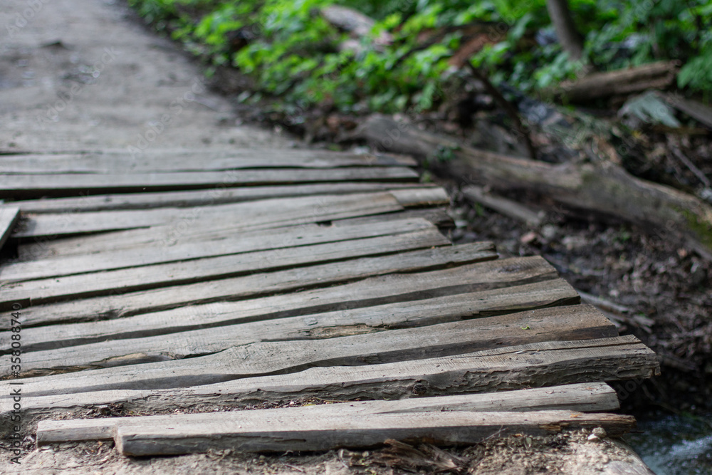 wooden bridge in the forest wooden bridge in the forest