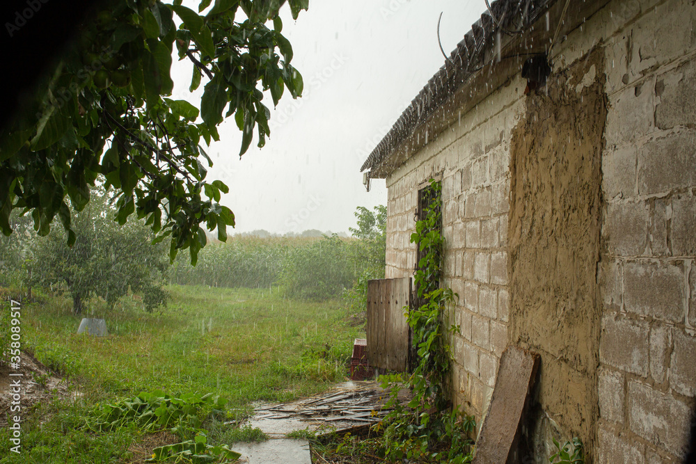 Heavy rain near an old abandoned house in a distant village. Green nature