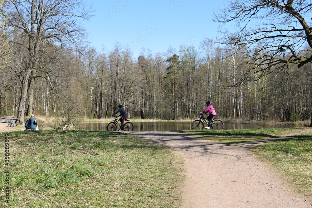 Fototapeta premium cycling in the forest