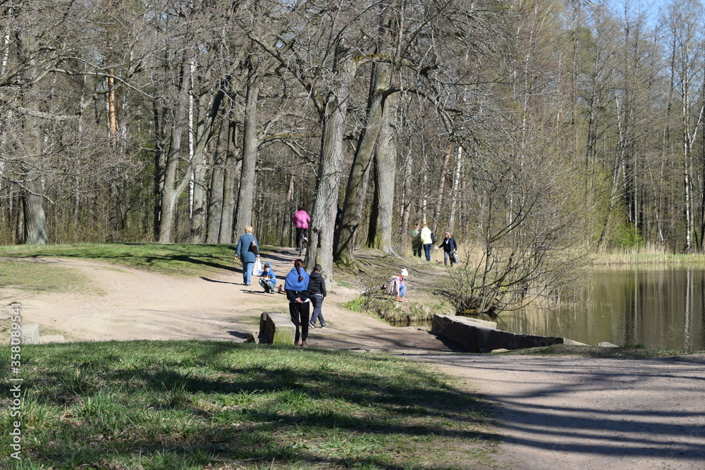 Fototapeta premium walk in the park