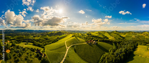 South styria vineyards aerial panorama landscape. Grape hills view from wine street in summer.