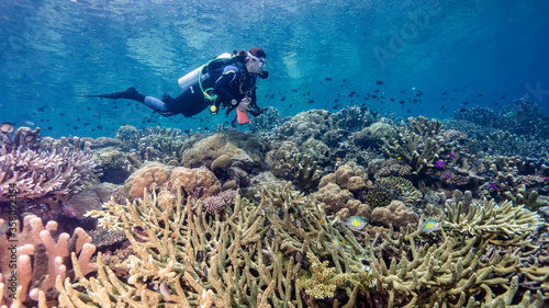 The scuba girl admires the colorful and amazing natural treasures of the melanesia seabed. Munda (Solomon Islands)