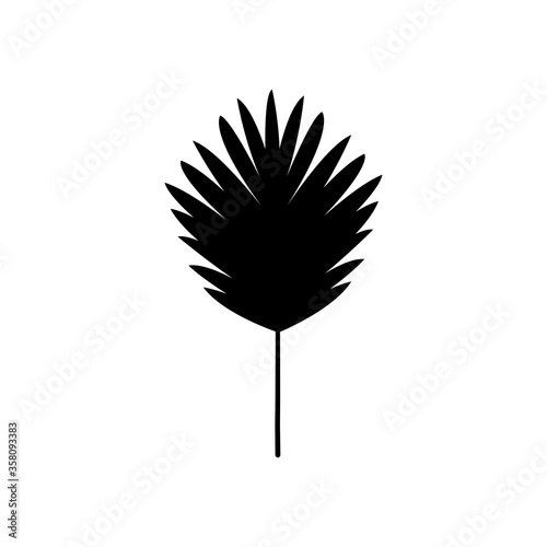 palmeto fan tropical leaf icon, silhouette style photo