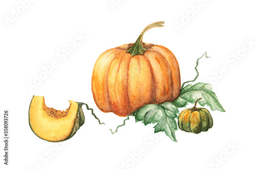 Orange watercolor pumpkins on white background