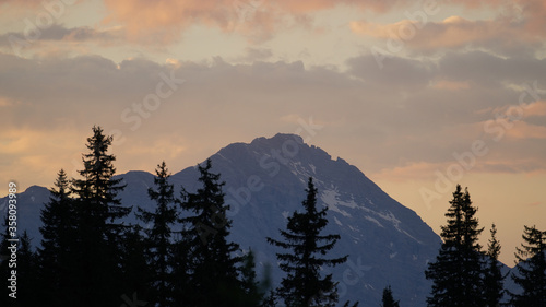 beautiful sunset on the mountains with tree silhouettes © Chamois huntress