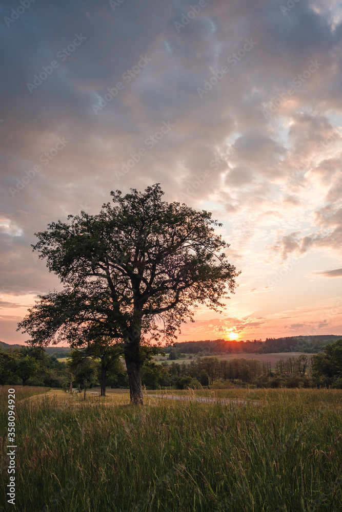 Illingen Württemberg Sonnenuntergang