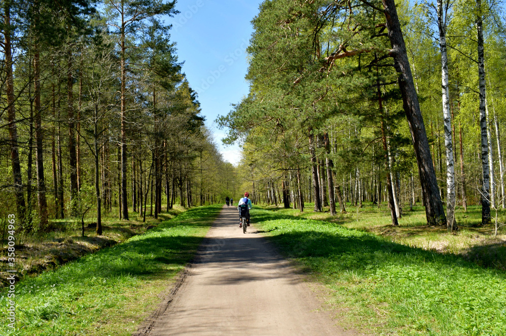 walk in the park