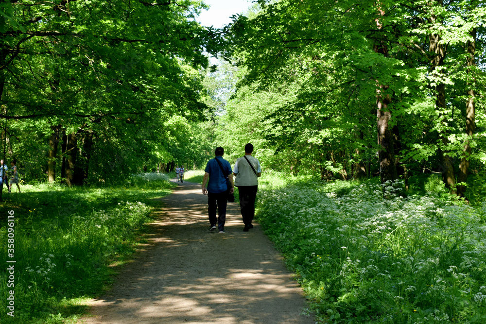 walking in the park walking in the park