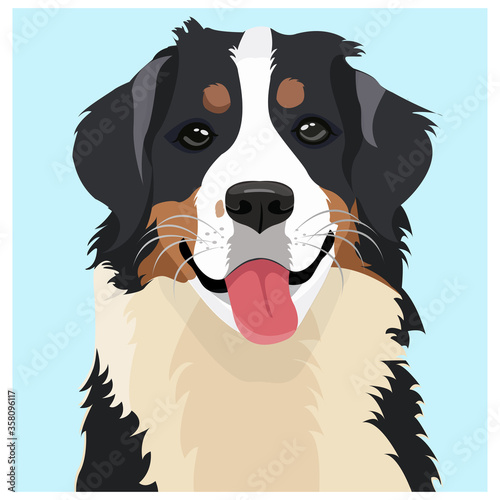 HANDSOME BERNESE DOG POTRAIT