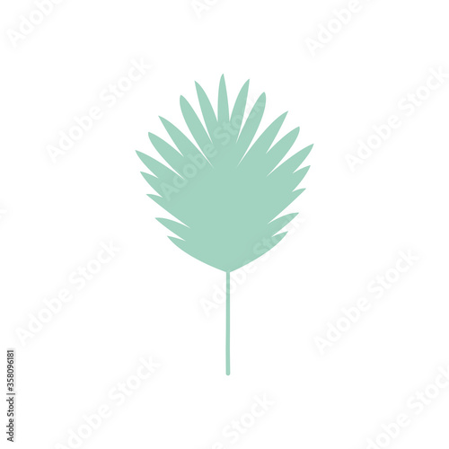 palmeto fan tropical leaf icon, flat style photo