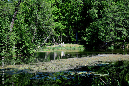 pond in the park