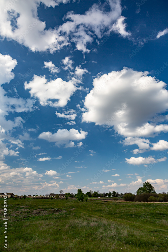 Blue sky with white cumulus clouds over a meadow with trees in the countryside. Vertical orientation. Blue sky with white cumulus clouds over a meadow with trees in the countryside. Vertical orientation.