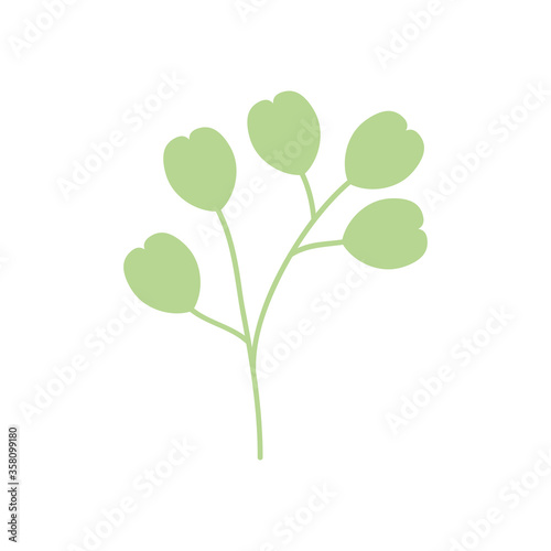 tropical plant leaves icon, flat style