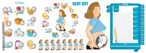 Health diary for pragnant woman. Woman Pregnant baby boy with her schedule. Template of notebook paper for notice right and stickers of diary.