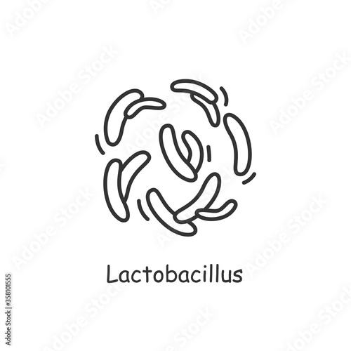 Lactobacillus icon. Prebiotic microbiome sign. Bacteriology and gastrointestinal health concept. Good bacterial flora for human. Simple linear vector illustration.Editable stroke