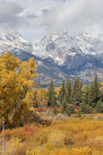 Scenic Landscape in Grand teton National Park Wyoming in Autumn