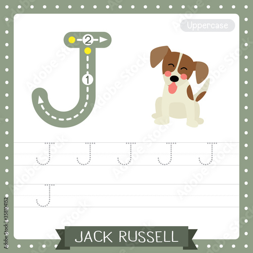 Letter J uppercase tracing practice worksheet of Sitting Jack Russell
