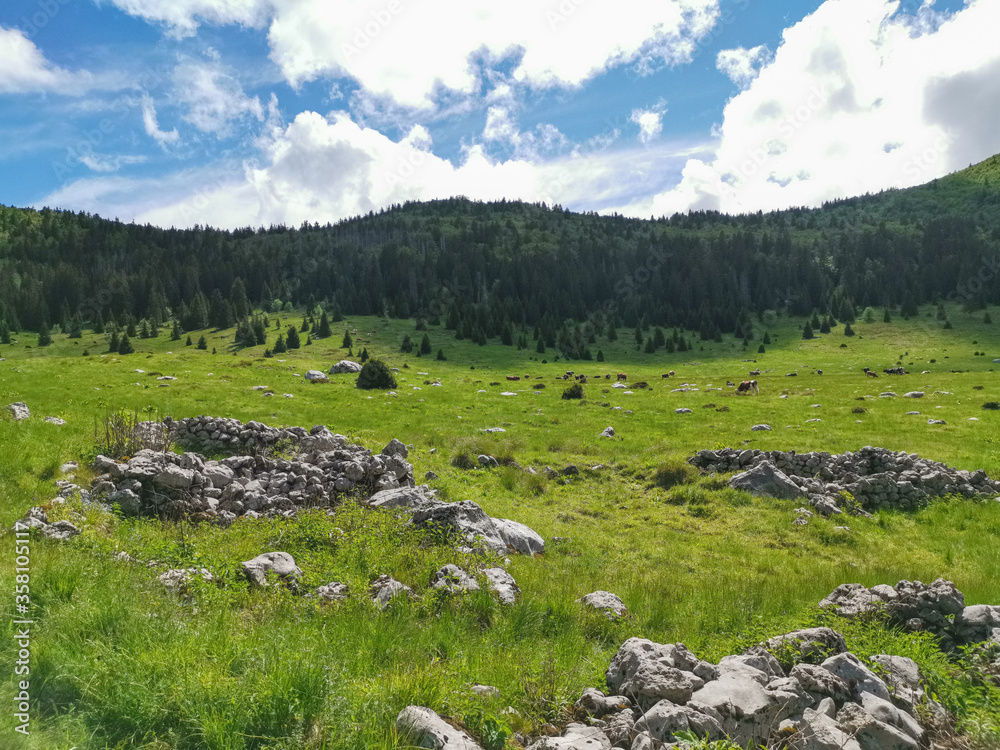Veliki Lubenovac is one of the most beautiful localities in the Northern Velebit National Park. It is a karst valley located at the edge of the strict nature reserve Hajdučki and Rožanski Kukovi.