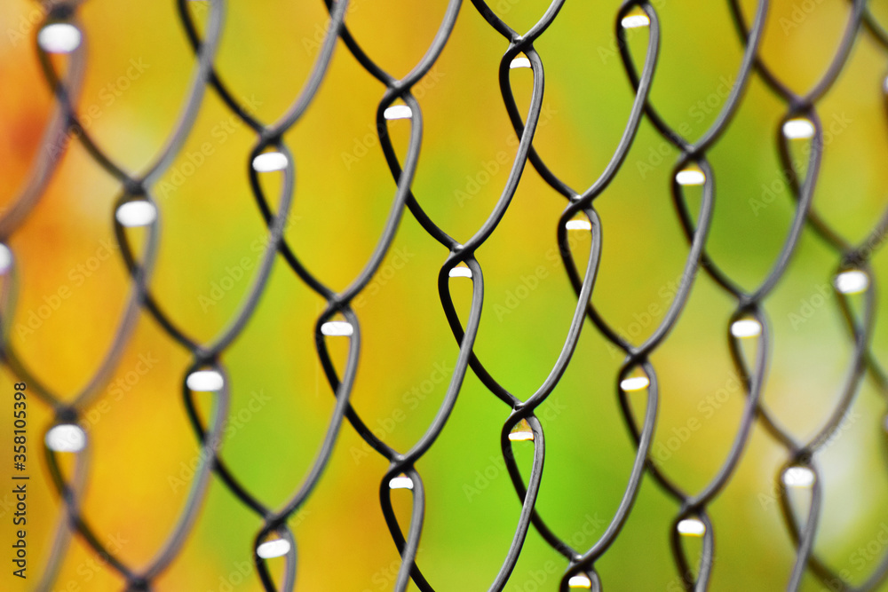 Naklejka premium Metal fence pattern with rain drops in curls