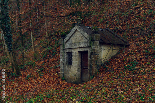 Ταπετσαρία moody misty autumn forest nature scenic view with ancient unknown stone crypt ar