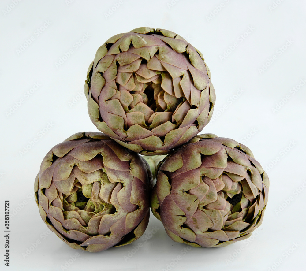 Obraz premium round artichoke Paestum in the province of Salerno in the Campania region isolated on white background frontal view