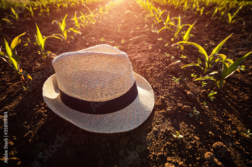 A forgotten farmer's hat is lying on the ground in the midst of small seedlings grow in the newly cultivated soil