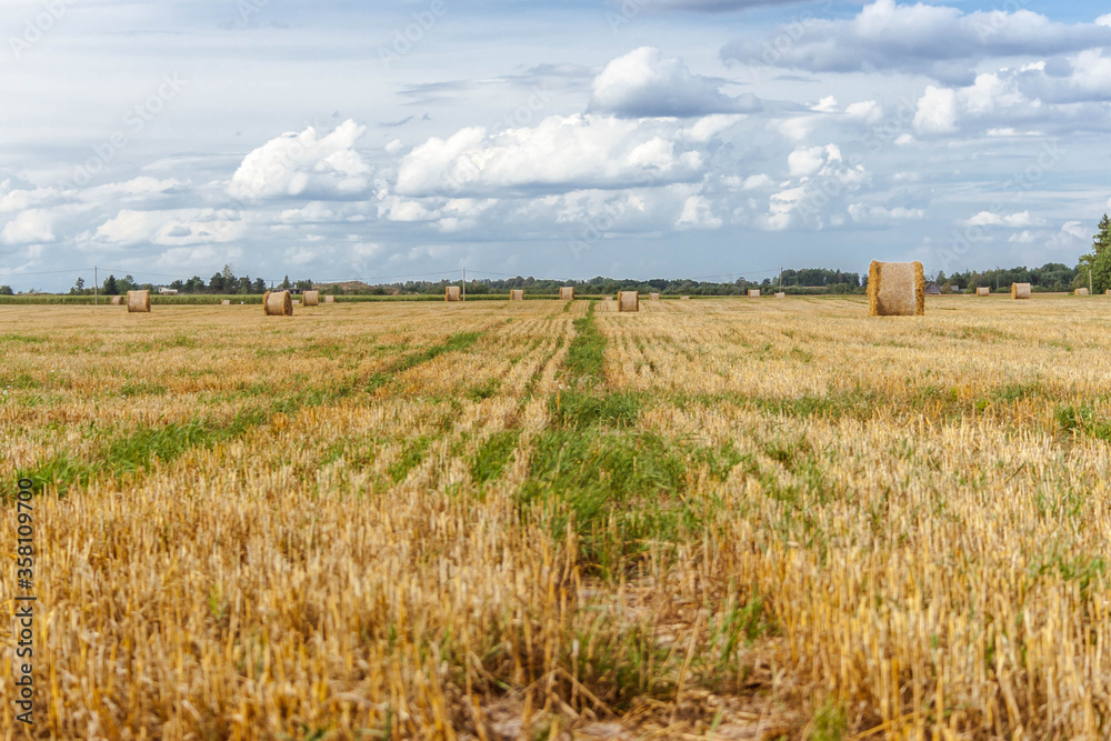 Latvian countryside scenery of hay rolls on a harvested crop field.