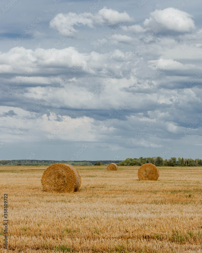 Three hay rolls on a harvested crop field in Latvia