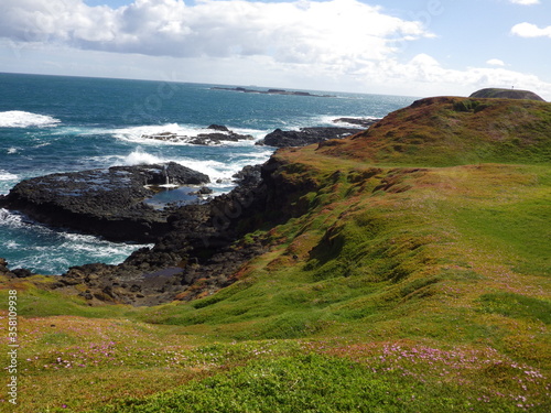 beautiful landscape of ocean coastal. scenic of blue sea water , green grass pink flowers and rock. physical geography of coastal