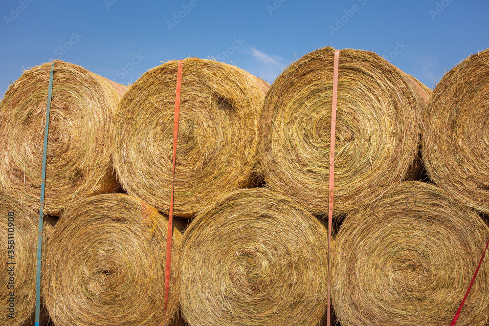 Farmer loads some hay bales on his tractor Farmer loads some hay bales on his tractor