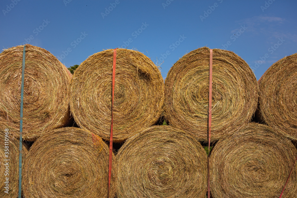 Farmer loads some hay bales on his tractor Farmer loads some hay bales on his tractor