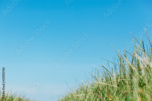 Green grass and bright blue sky with copy space, minimalistic