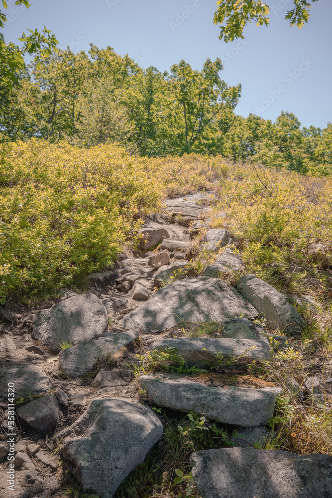 Rock stone staircase in the woods portrait