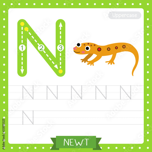 Letter N uppercase tracing practice worksheet of Eastern Red-spotted Newt