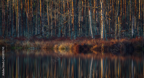 Colorful autumn day in the Cenas moor