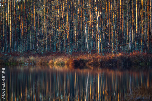 Colorful autumn day in the Cenas moor