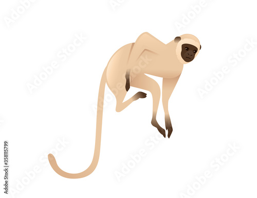 Cute vervet monkey beige monkey with brown face cartoon animal design flat vector illustration isolated on white background