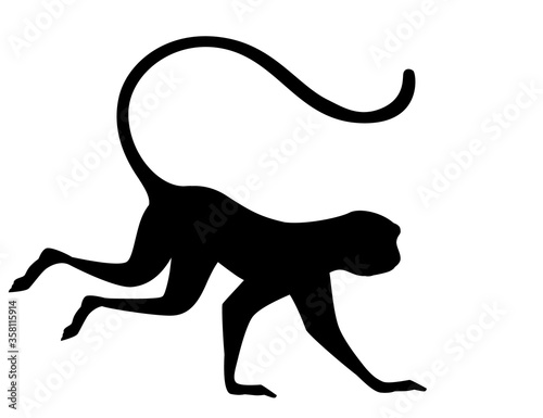 Photography Black silhouette cute vervet monkey cartoon animal design flat vector illustrati