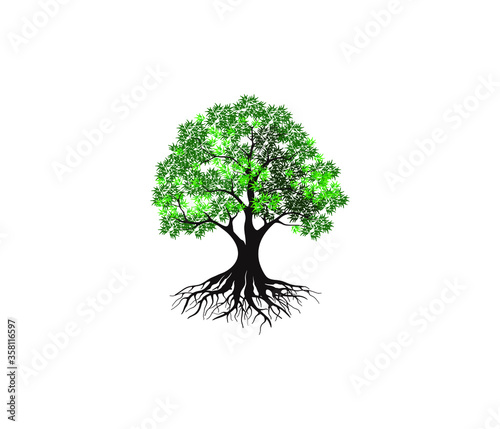 Tree and roots  logo design vector isolated