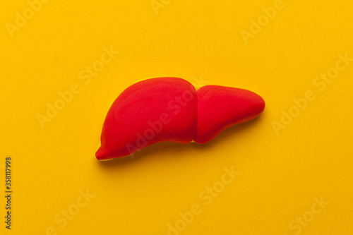 Human liver on yellow background. Disease, diagnosis and care. Treatment of cirrhosis, harm from alcohol.